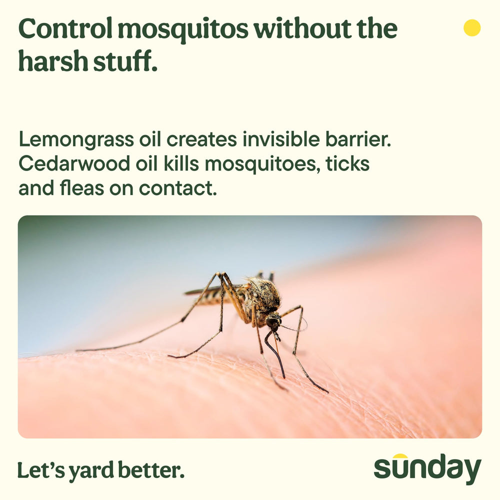 SUNDAY Cedar Oil Mosquito Yard Spray label details