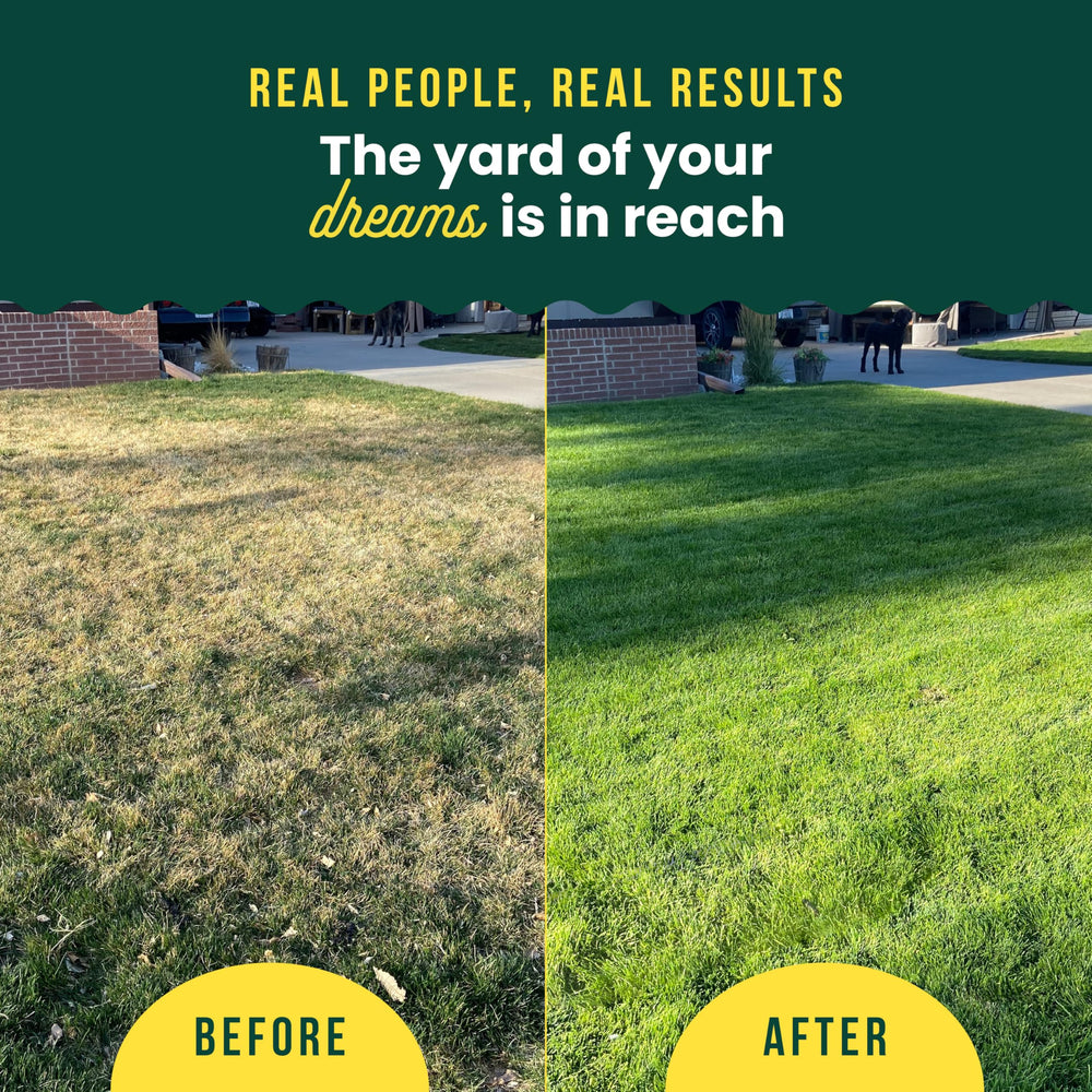SUNDAY Lawn Kickstart + Green Machine Fertilizer 2-Pack front view