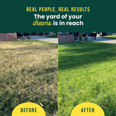 SUNDAY Lawn Kickstart + Green Machine Fertilizer 2-Pack front view