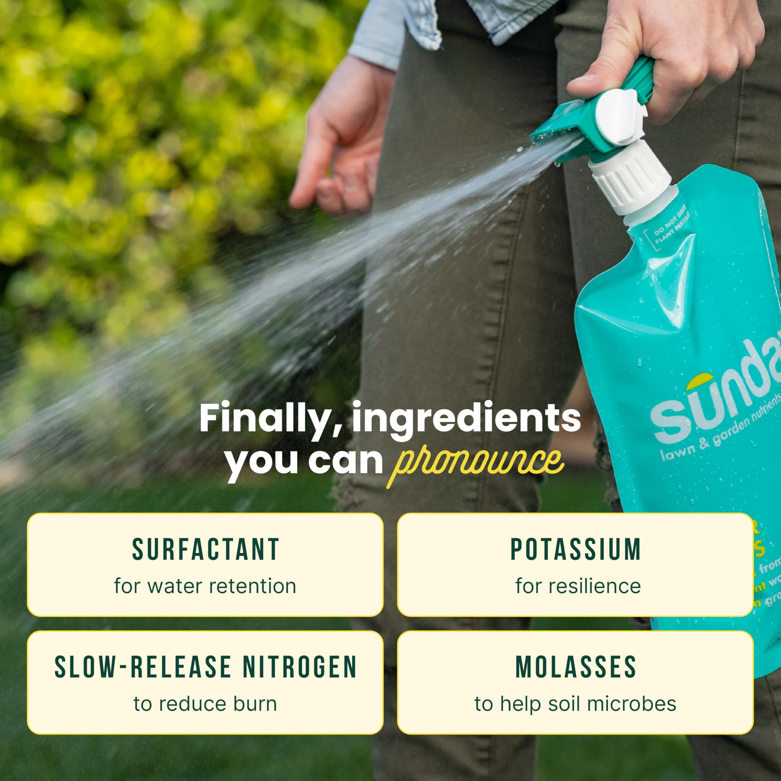 SUNDAY Liquid Lawn Fertilizer on grass showing results