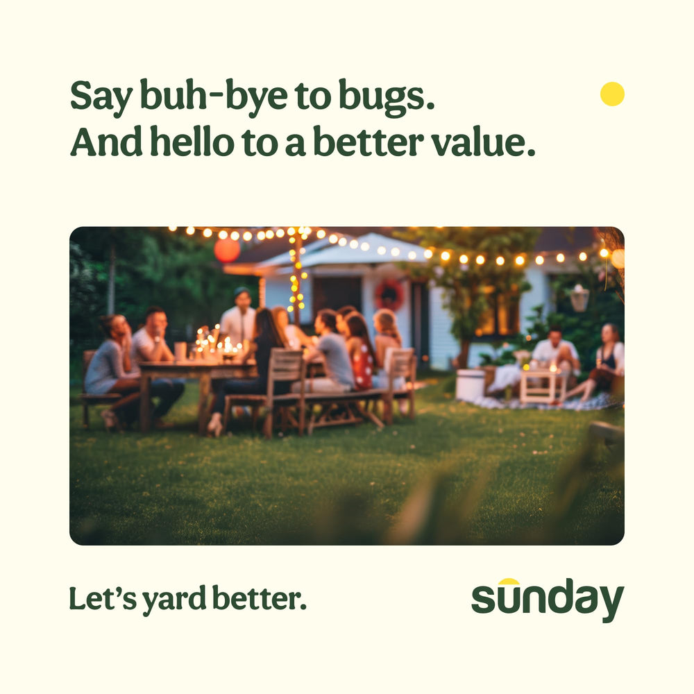 SUNDAY Nix Ticks Yard Spray in outdoor setting