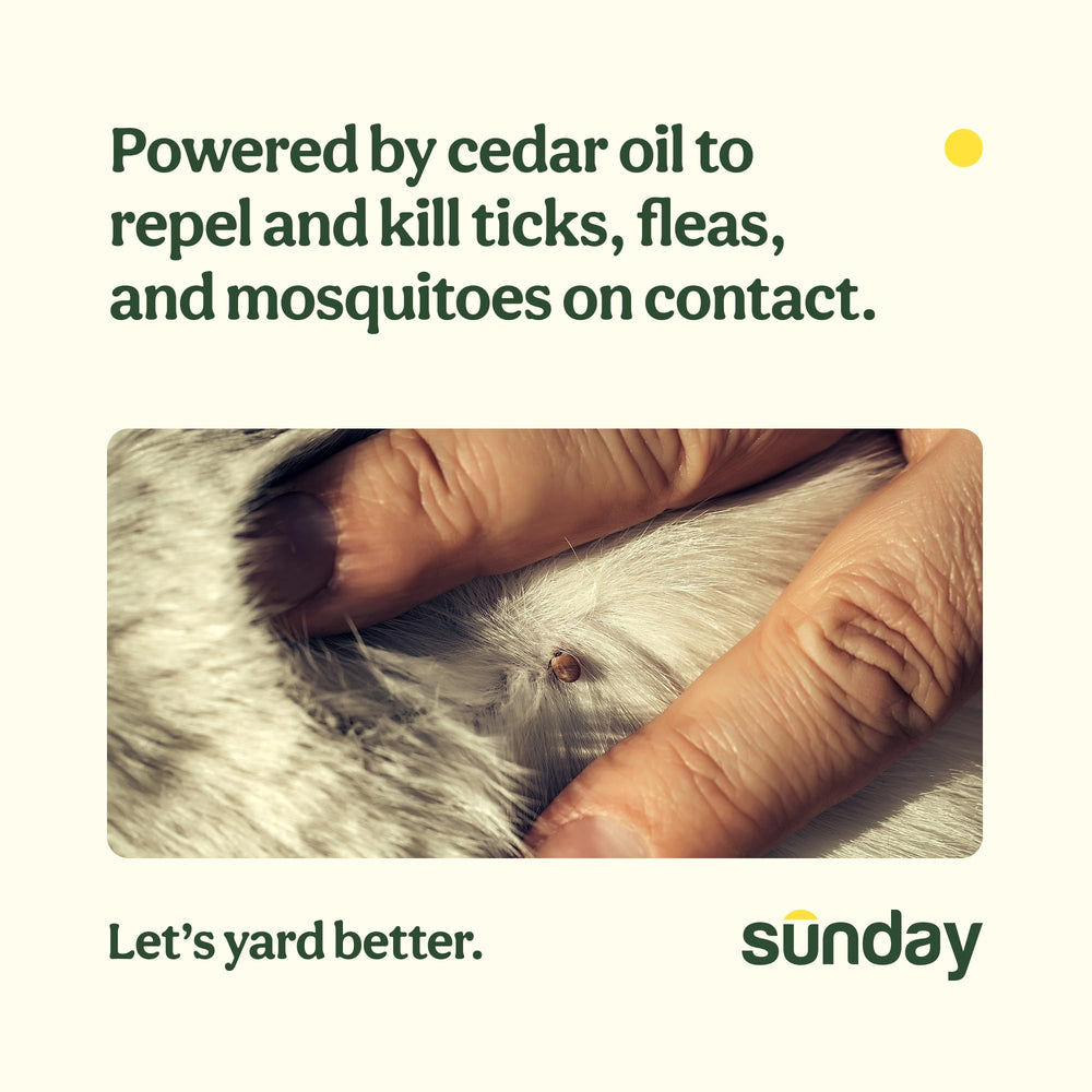 SUNDAY Nix Ticks Yard Spray nozzle close-up