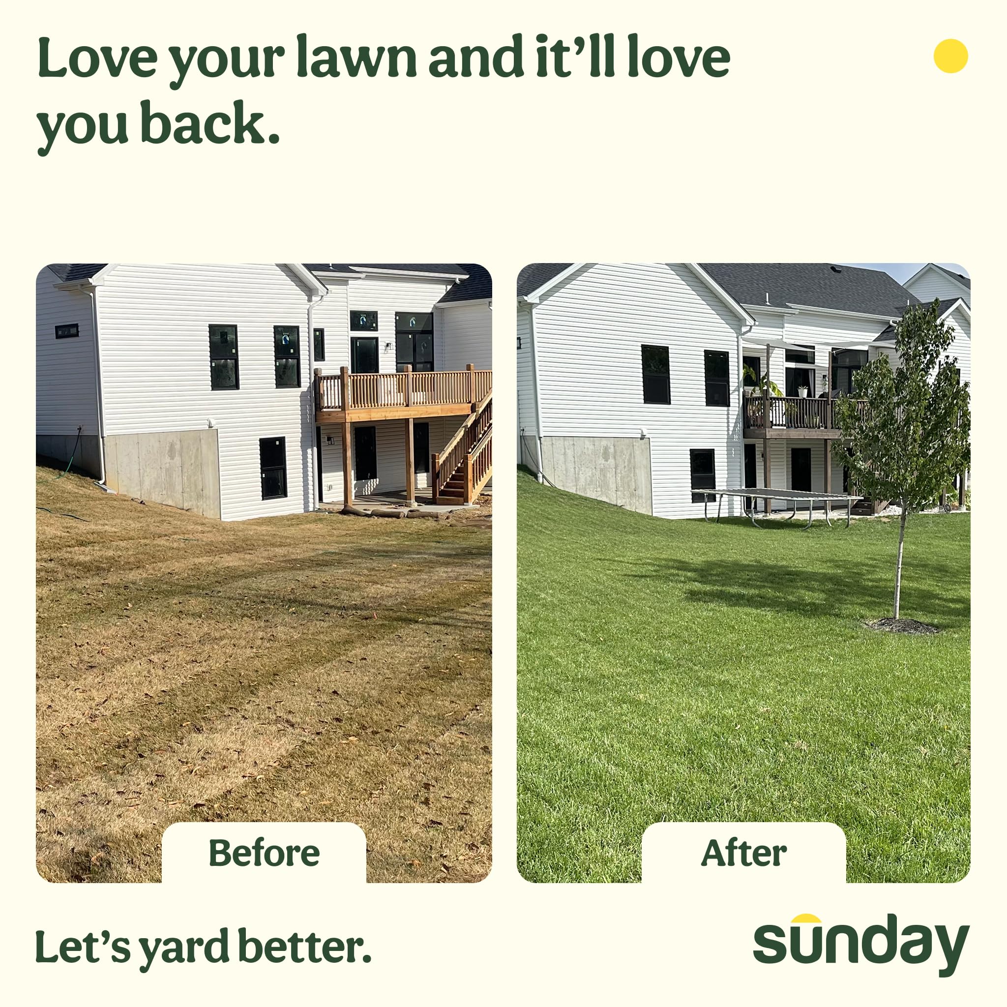 SUNDAY Pet Patch 42 Fl Oz pack with lush green lawn background