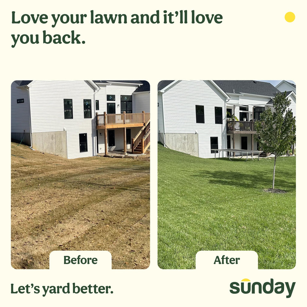 SUNDAY Pet Patch 42 Fl Oz pack with lush green lawn background