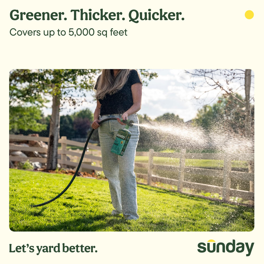 SUNDAY Pet Patch application on a grassy lawn