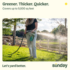 SUNDAY Pet Patch application on a grassy lawn