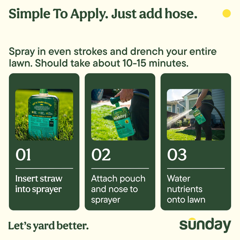 SUNDAY Pet Patch being used in a backyard setting