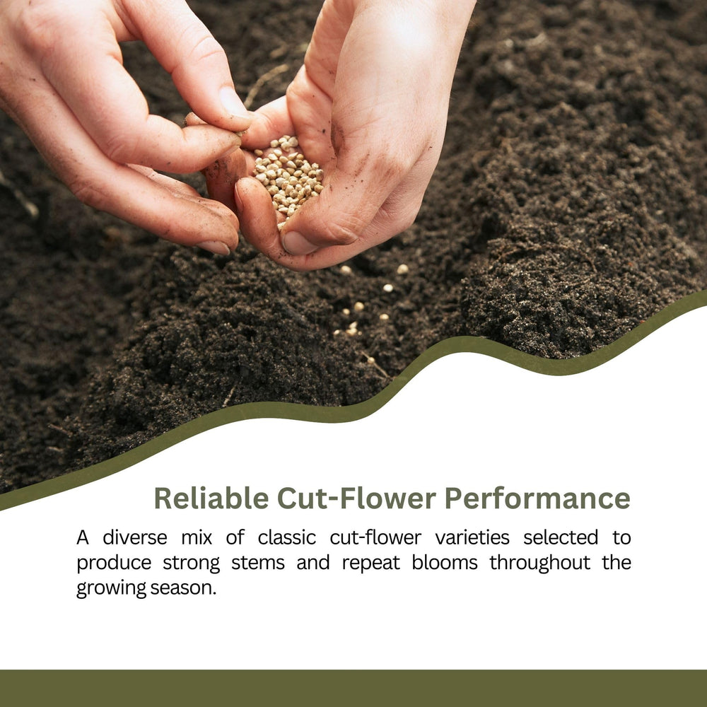 SunHaven Seeds flower garden in full bloom
