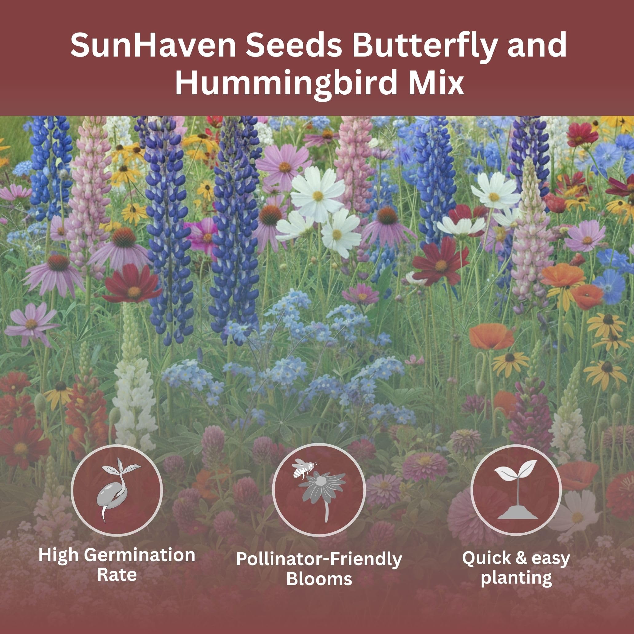 SunHaven Seeds wildflower mix blooming in a garden