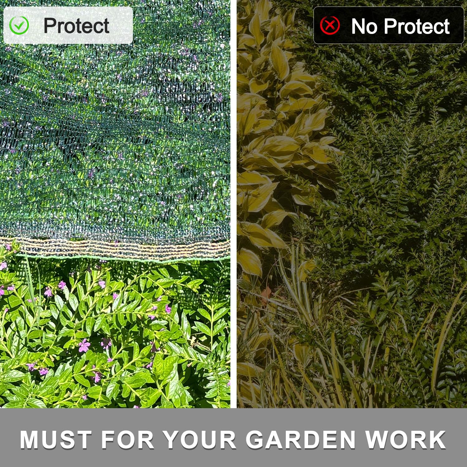 SUNNY GUARD shade cloth 6 x 8 FT green HDPE mesh in garden