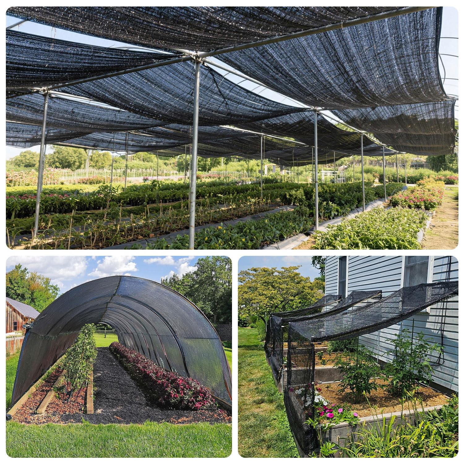 SUNNY GUARD shade cloth used in a vegetable garden