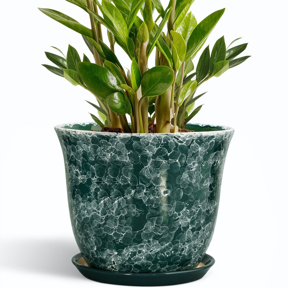 SUNPOTFOR 10 Inch Ceramic Plant Pot in Gemstone Green with Saucer