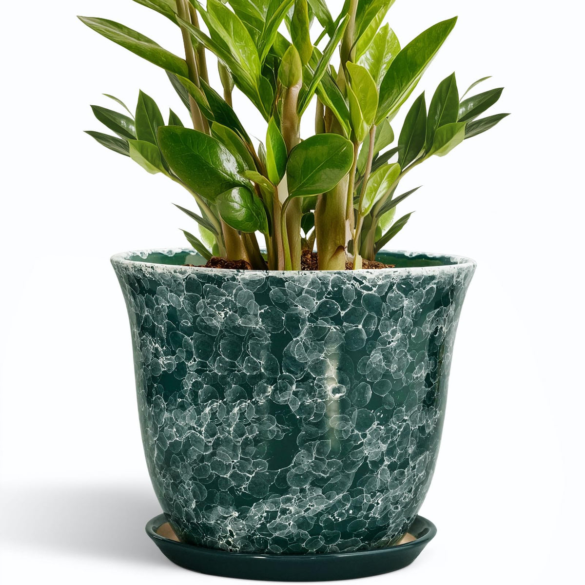 SUNPOTFOR 10 Inch Ceramic Plant Pot in Gemstone Green with Saucer