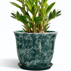 SUNPOTFOR 10 Inch Ceramic Plant Pot in Gemstone Green with Saucer