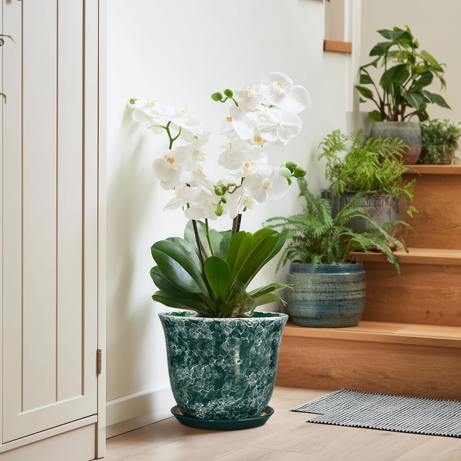 SUNPOTFOR 10 Inch Plant Pot with various plants displayed