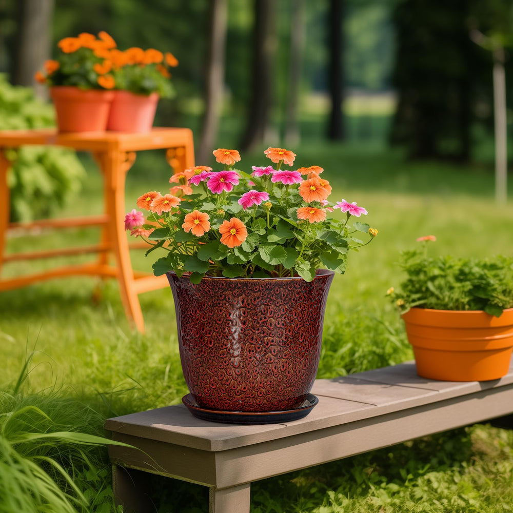 SUNPOTFOR 10 Inch planter with assorted indoor plants