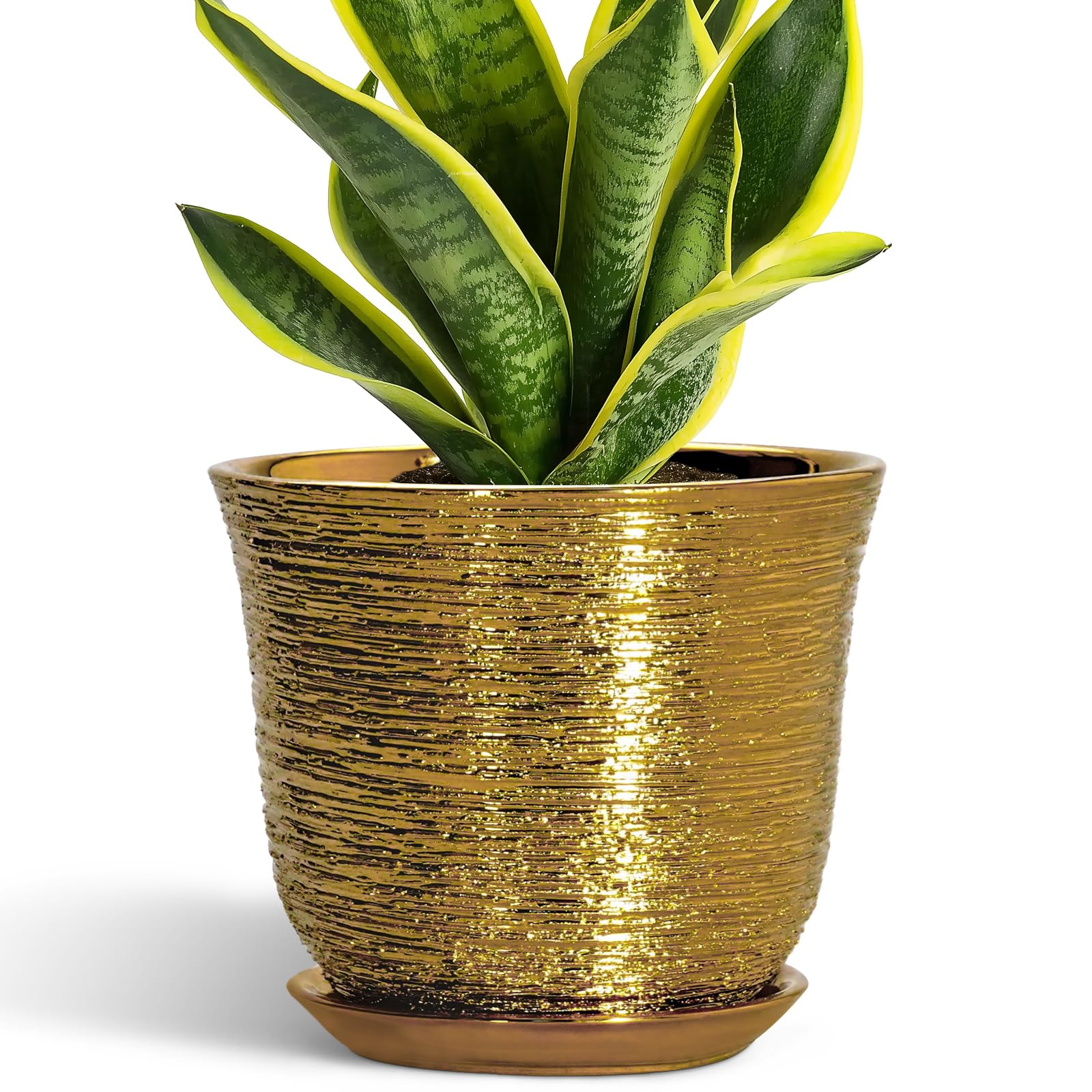 SUNPOTFOR 8 Inch Ceramic Plant Pot in Gold front view