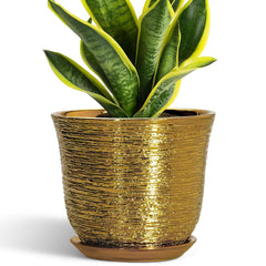 SUNPOTFOR 8 Inch Ceramic Plant Pot in Gold front view