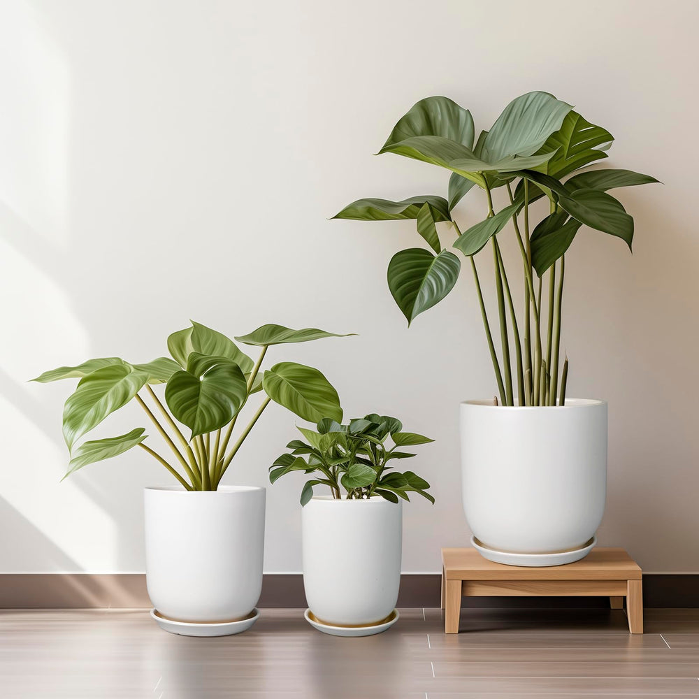 SUNPOTFOR 8 Inch Ceramic Planter displayed on a patio