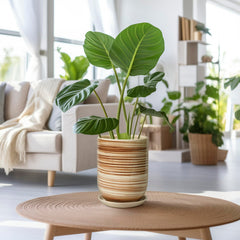 SUNPOTFOR 8 Inch Ceramic Planter with drainage hole