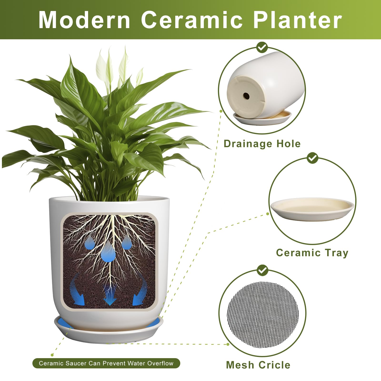 SUNPOTFOR 8 Inch Ceramic Planter with succulent plant