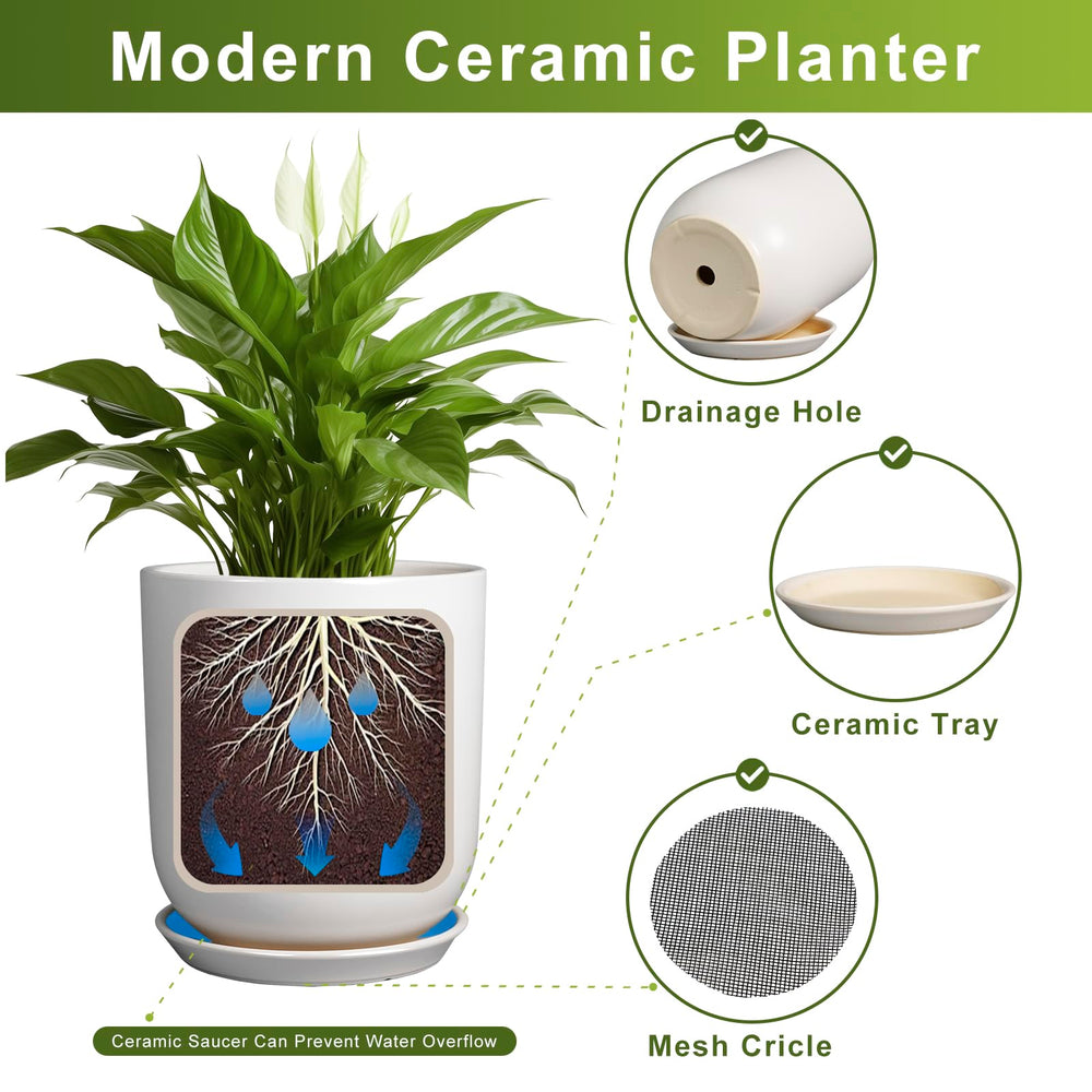 SUNPOTFOR 8 Inch Ceramic Planter with succulent plant