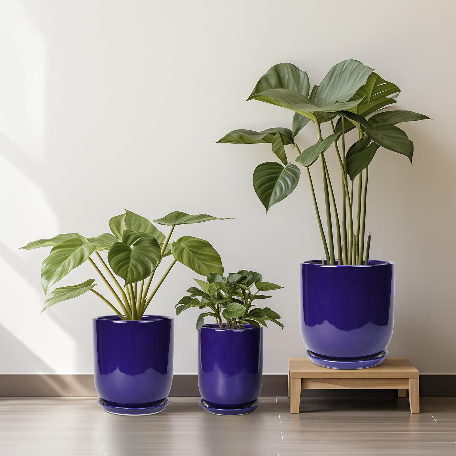 SUNPOTFOR Ceramic Plant Pot in living room decor