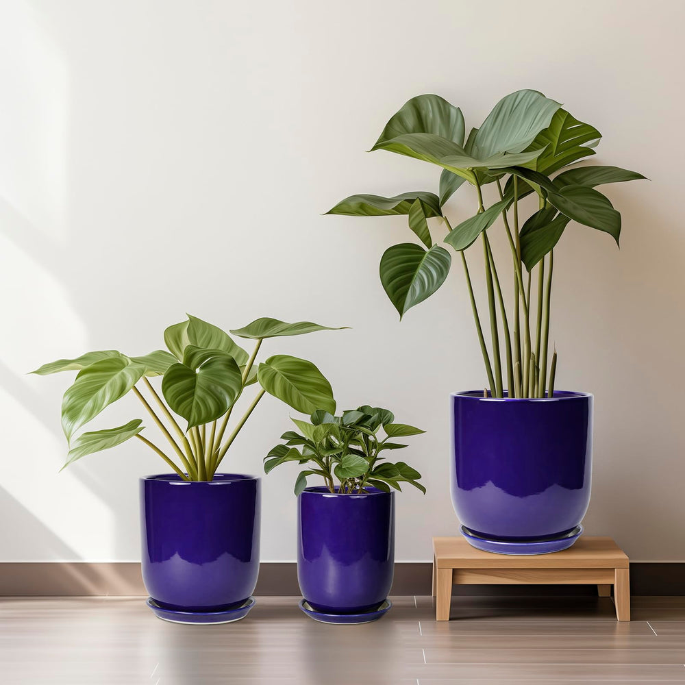 SUNPOTFOR Ceramic Plant Pot in living room decor