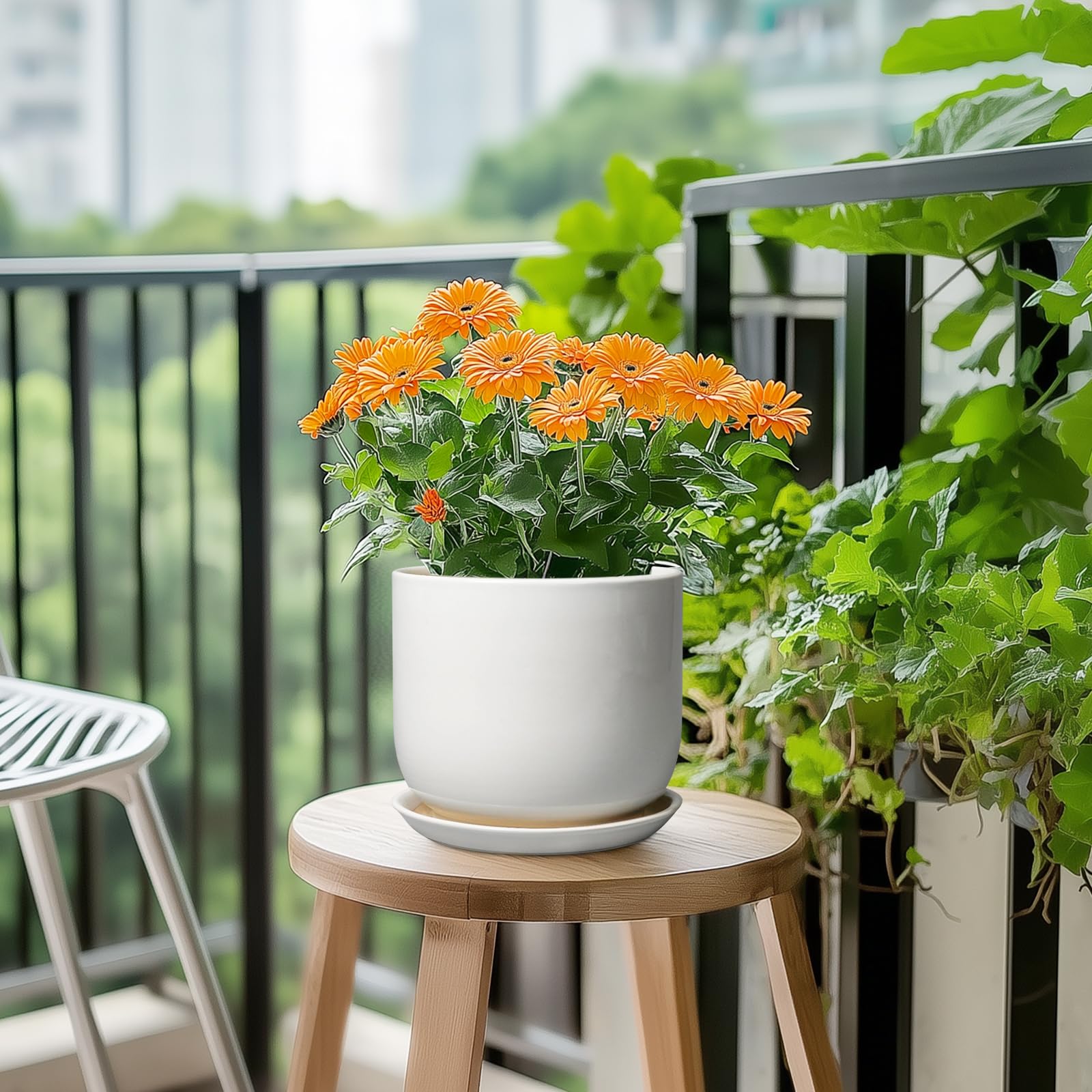SUNPOTFOR Ceramic Plant Pot showcasing minimalist design