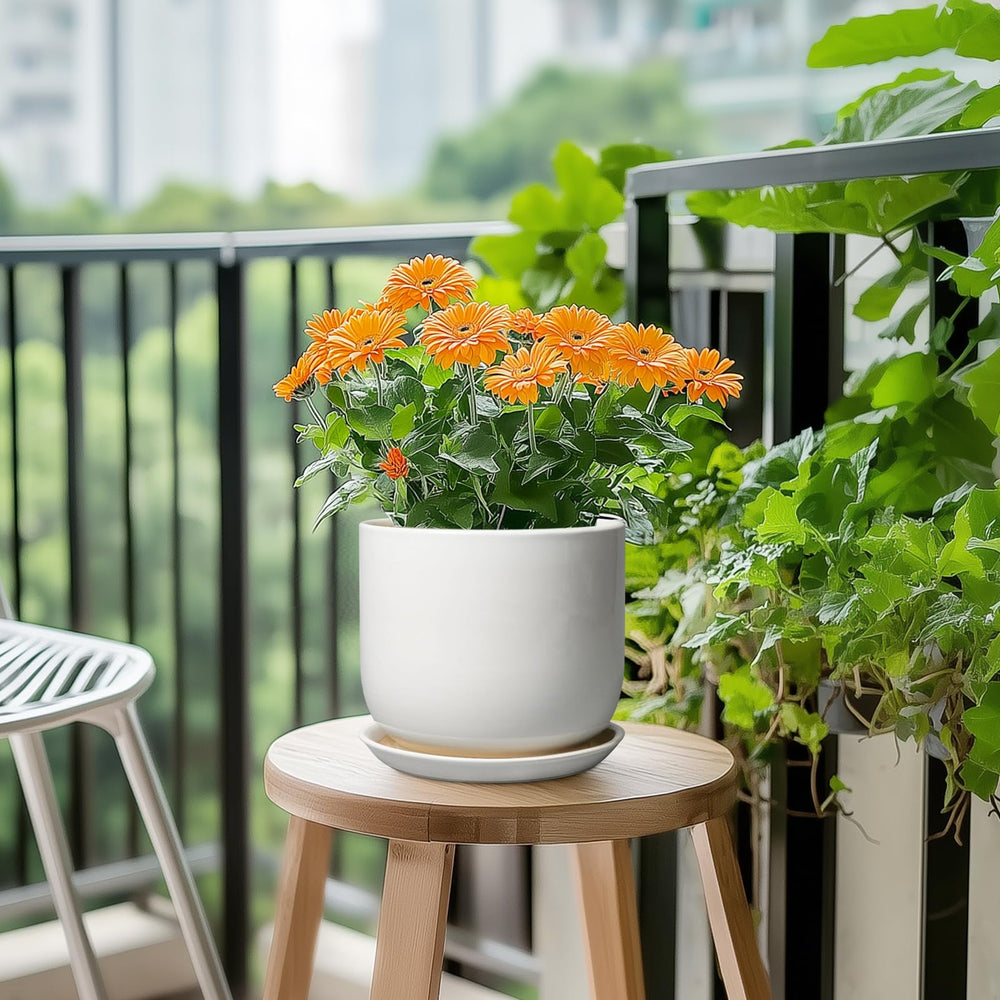 SUNPOTFOR Ceramic Plant Pot showcasing minimalist design