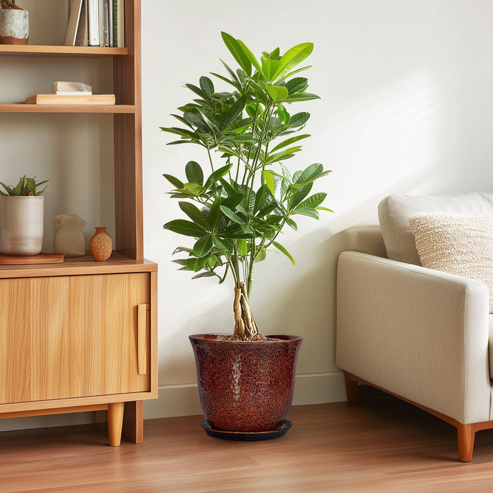 SUNPOTFOR ceramic plant pot with a snake plant displayed