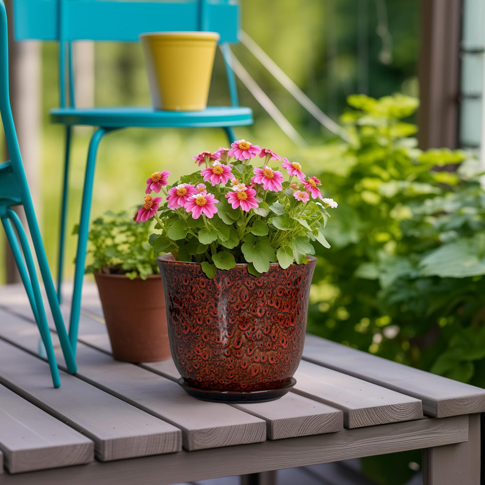 SUNPOTFOR Ceramic Plant Pot with succulent plant inside