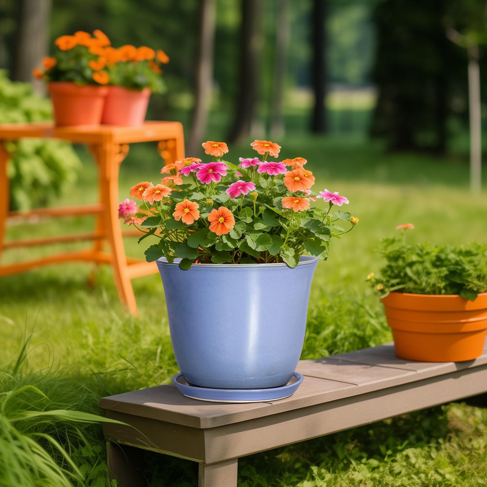 SUNPOTFOR Ceramic Plant Pot with ZZ plant inside