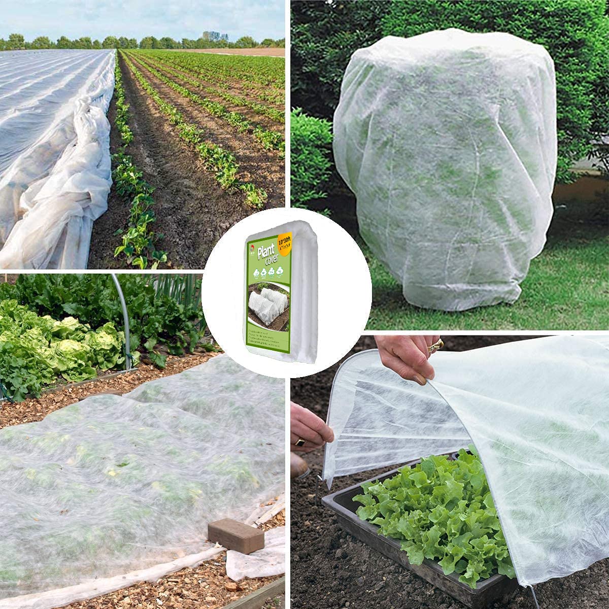 SUNPRO plant cover demonstrating light transmission for plants