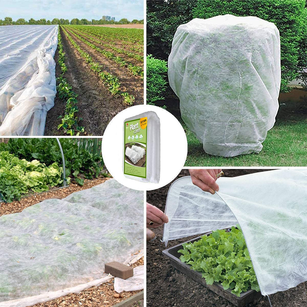 SUNPRO plant cover demonstrating light transmission for plants