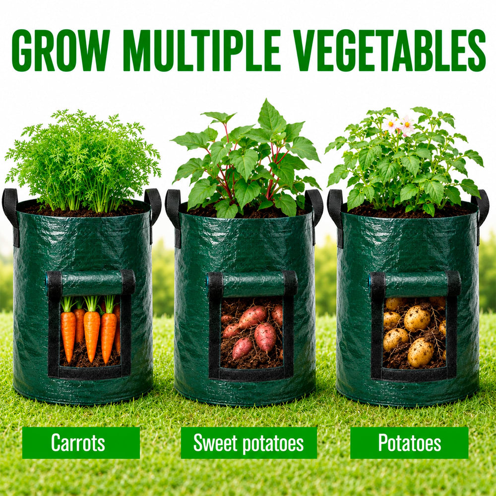 SunVara 10 Gallon Potato Grow Bags with vegetables growing inside