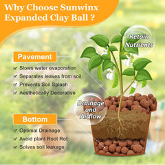 Sunwinx 6LB Leca clay pebbles in packaging