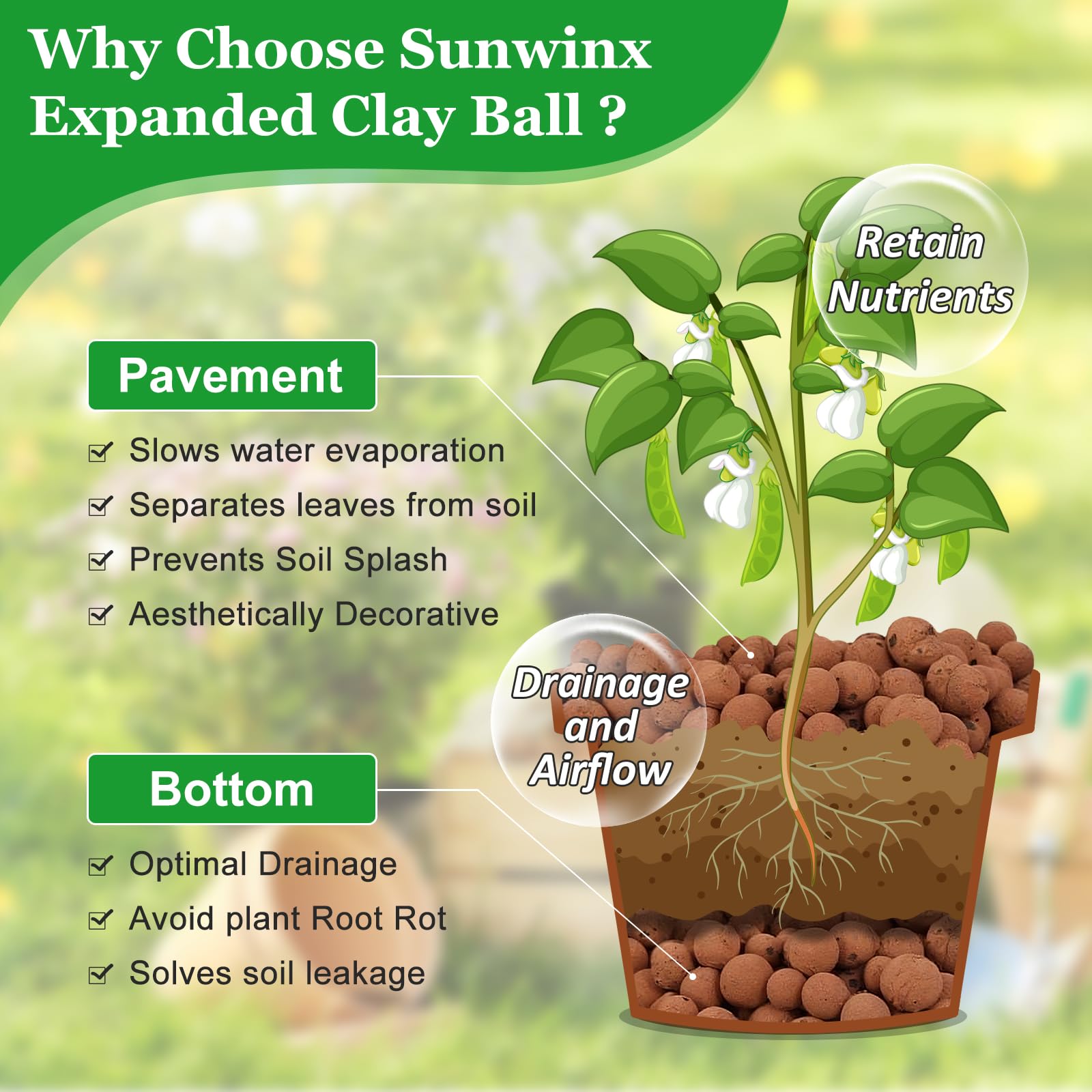 Sunwinx Leca Clay Pebbles used in a hydroponic setup