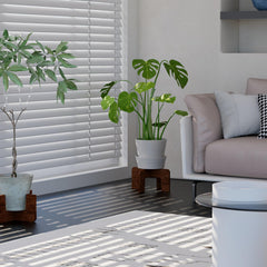 SupBambGO Plant Stand assembled with plants, lifestyle scene