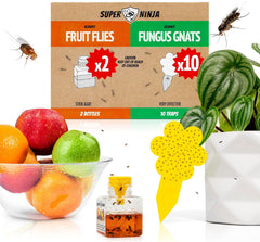 Super Ninja Fruit Fly Trap and Gnat Trap yellow sticky traps front view