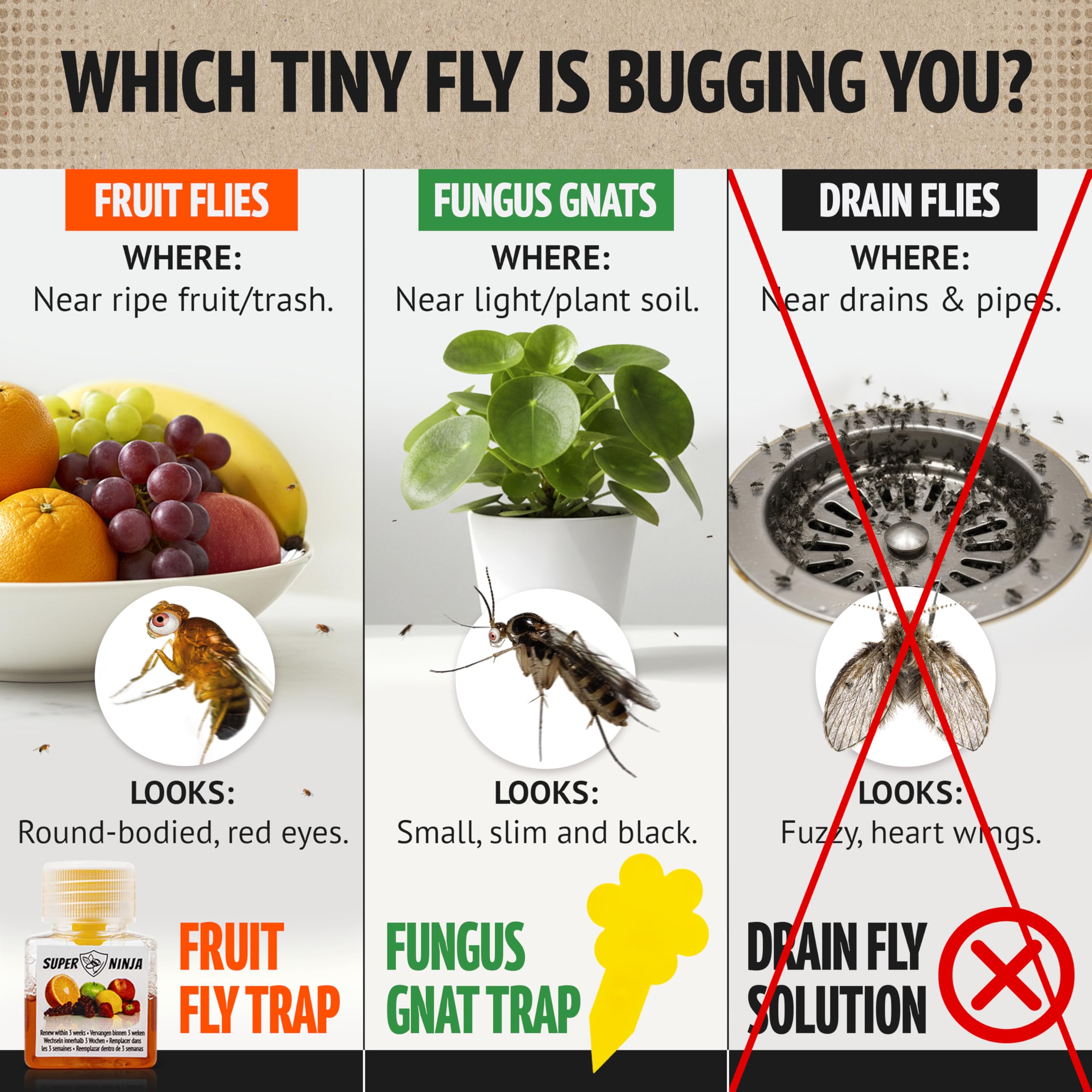 Super Ninja Fruit Fly Trap side view showing packaging
