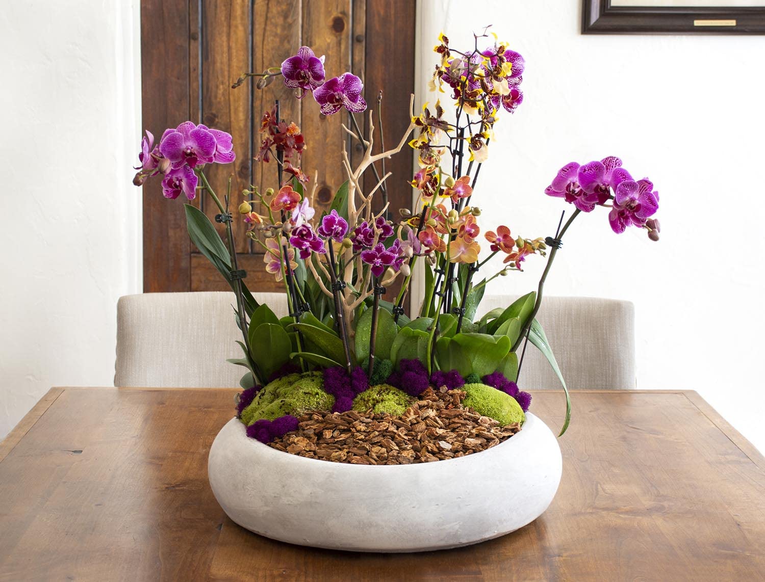 SuperMoss Orchid Bark displayed with gardening tools