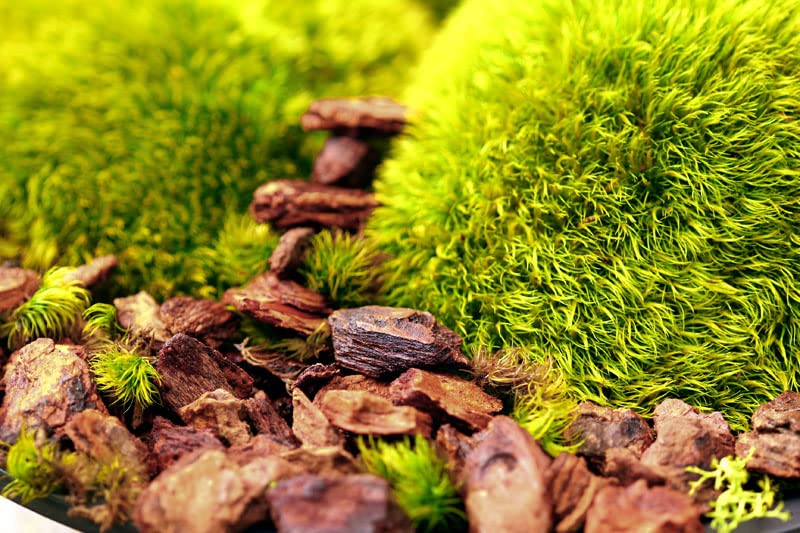 SuperMoss Orchid Bark in a garden setting with flowers