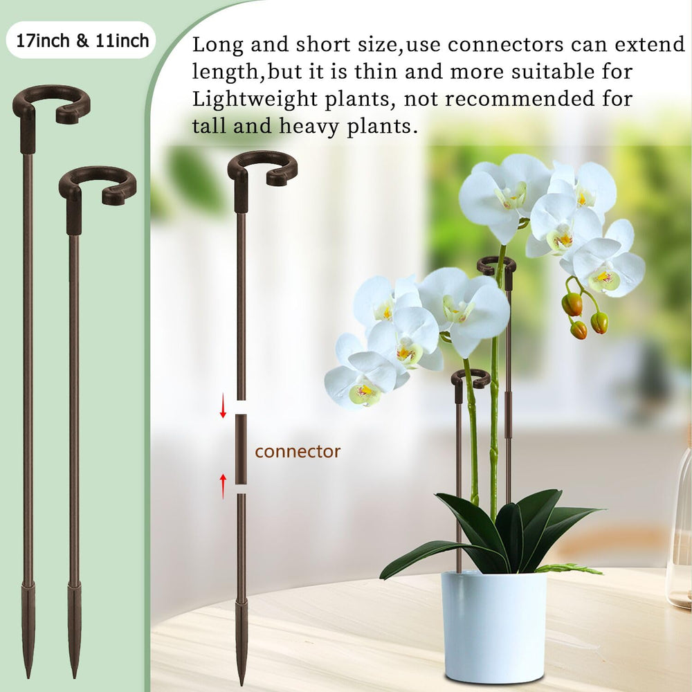 SupKing 11 inch plant support stake beside blooming amaryllis