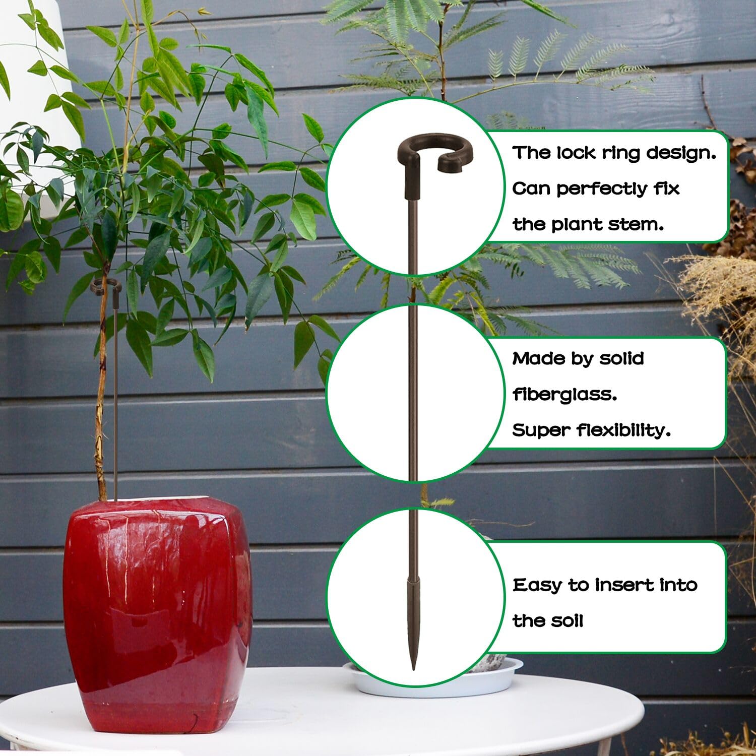 SupKing 17 inch plant support stake in a potted orchid plant