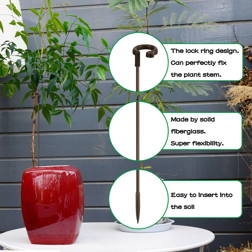 SupKing 17 inch plant support stake in a potted orchid plant