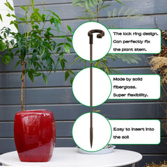 SupKing 17 inch plant support stake in a potted orchid plant