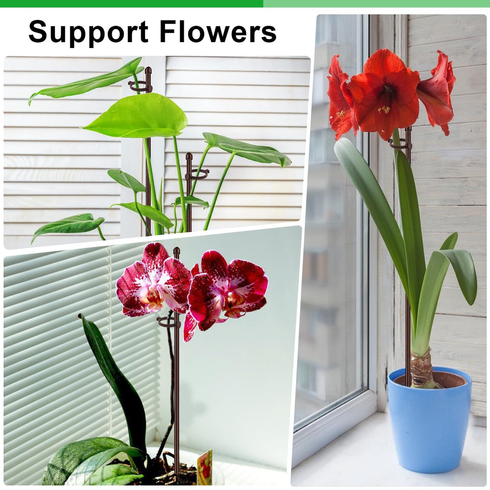 SupKing 20Pcs plant support stakes with accessories including strapping tapes