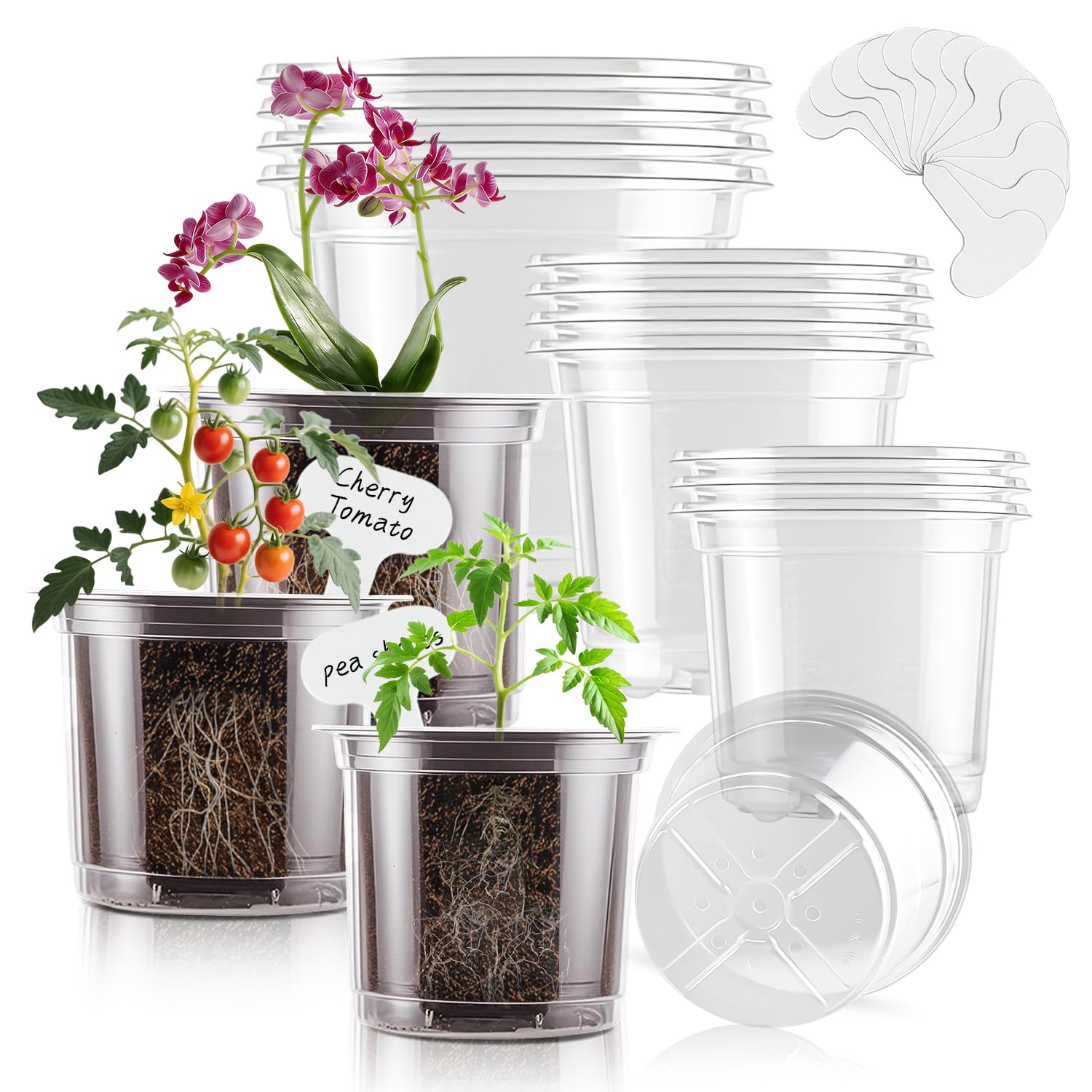 SupKing 3.5-inch clear nursery pot side view