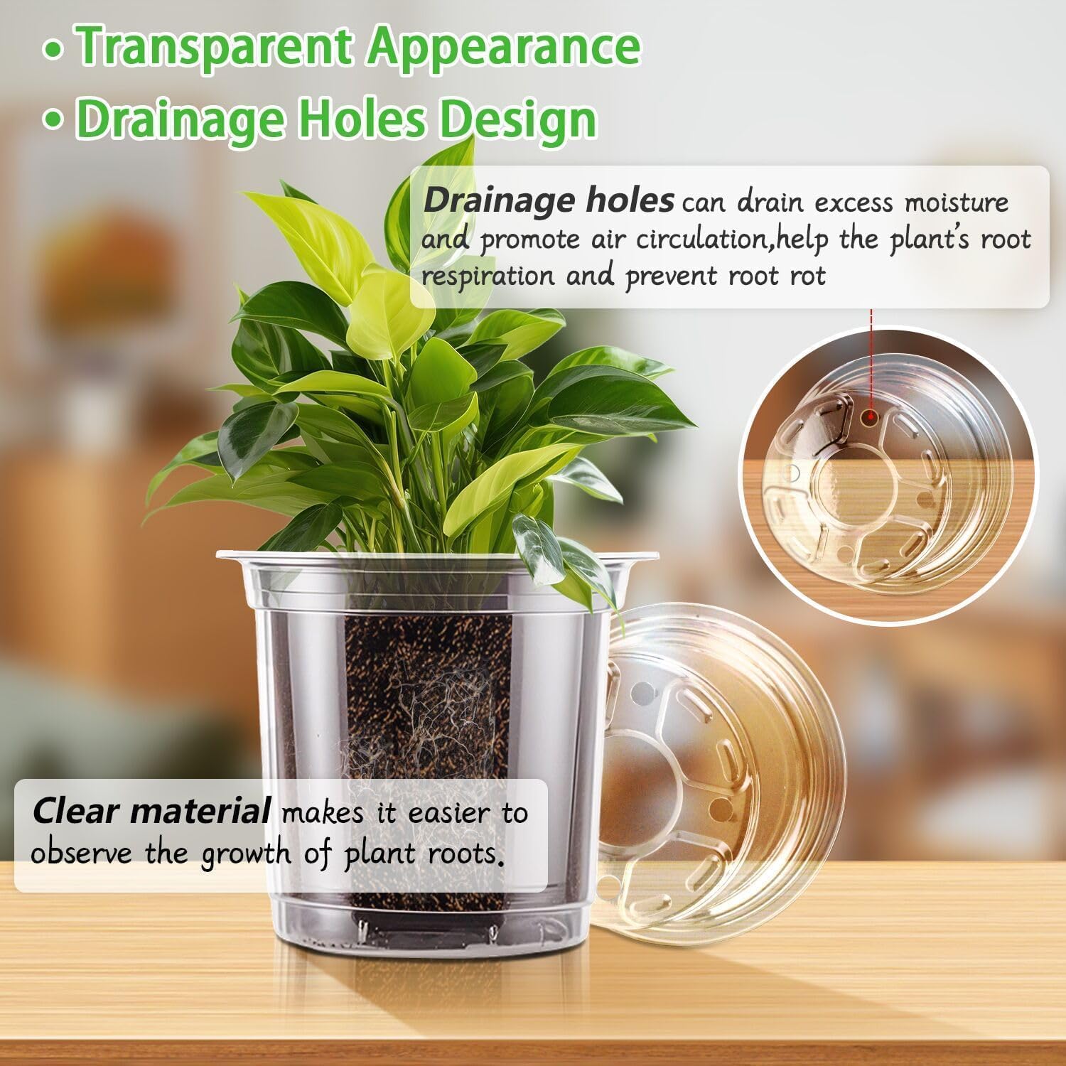 SupKing 5-inch clear nursery pot with plant label